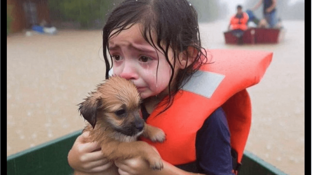 From Compliance to Competitive Edge: The Importance of Responsible AI Systems